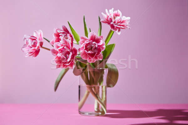 Rosa Tulpen Glas Vase Foto Postkarte Stock foto © artjazz