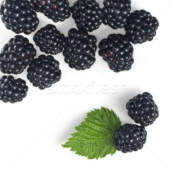 blackberry with green leaf isolated on white Stock photo © artjazz