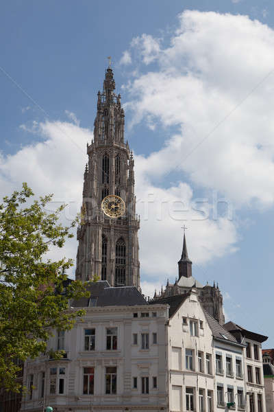 View over Antwerp with cathedral of our lady taken Stock photo © artjazz