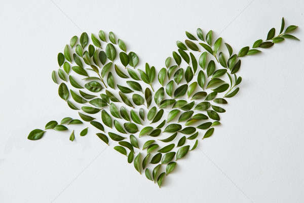 Stock photo: Leaves in heart shape