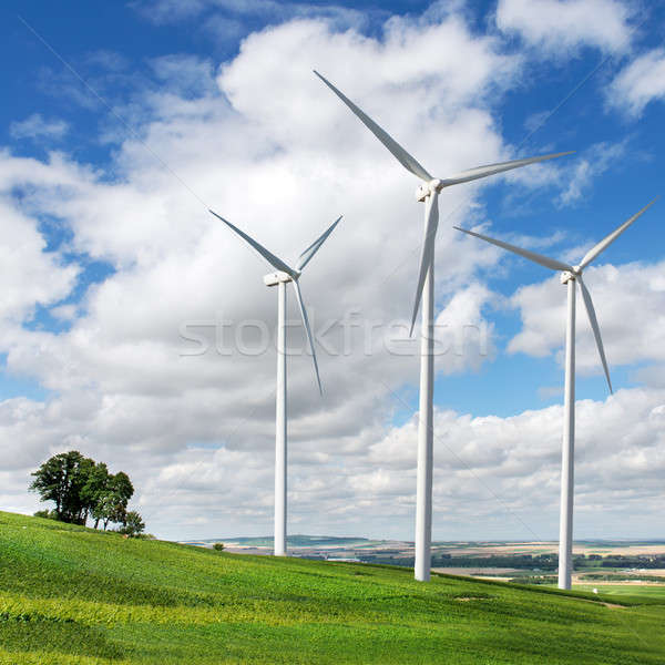 Viento verano paisaje árbol sol campo Foto stock © artjazz