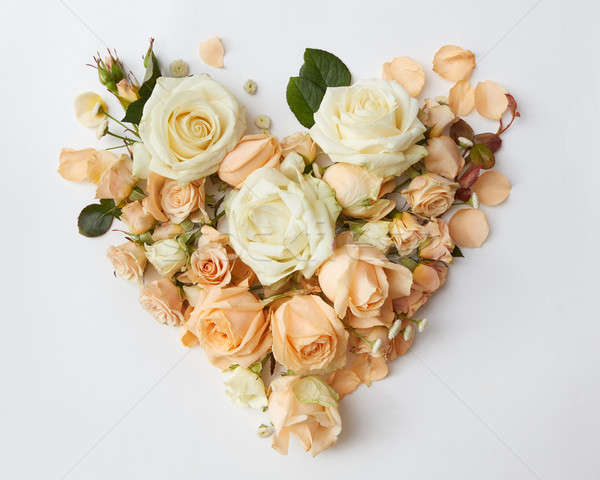 [[stock_photo]]: Roses · coeur · blanche · fleurs · mariage · rose