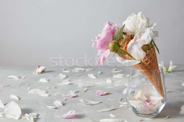 Wenskaart mooie zacht bloemen water druppel Stockfoto © artjazz