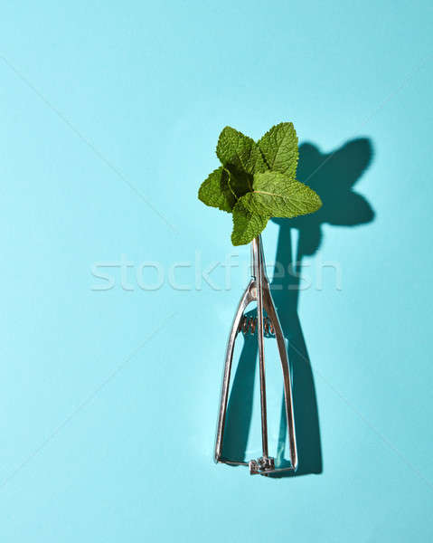Cucchiaio gelato menta foglie blu ombre Foto d'archivio © artjazz