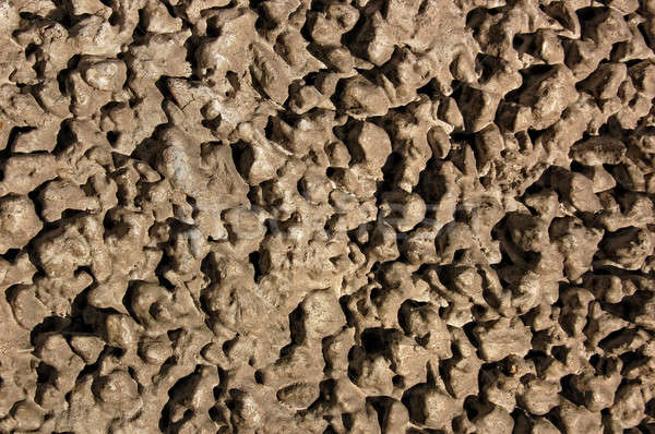 Stock photo: Stones under the  cement