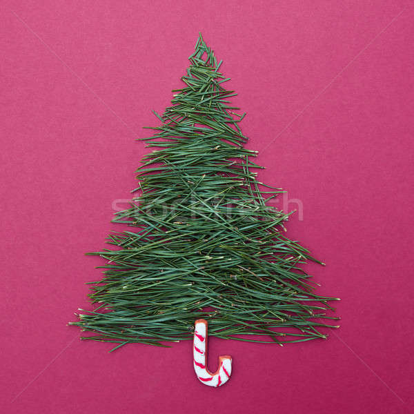 Naalden pine bomen vorm boom briefkaart Stockfoto © artjazz