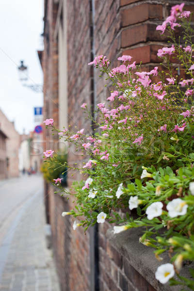 Balkon Blumen schönen Wasser Haus Stadt Stock foto © artjazz