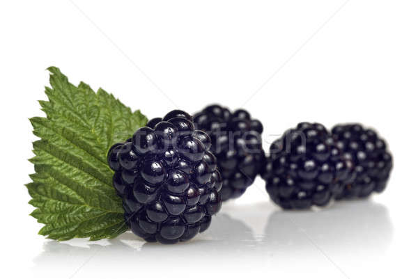 绿叶    孤立    白    春天    食品 / blackberry with green lef