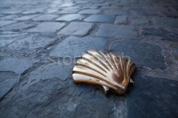 оболочки Брюссель форма тротуар дороги Сток-фото © artjazz