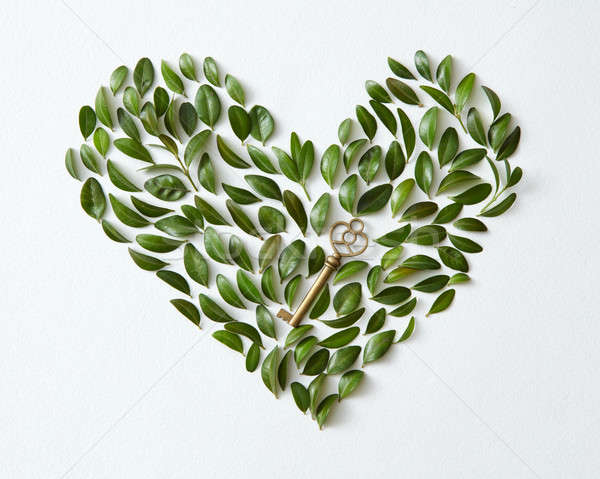 Foglie a forma di cuore foglie verdi vintage chiave bianco Foto d'archivio © artjazz