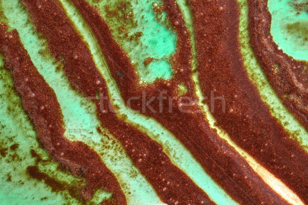 Groene bruin abstract curve strips gesmolten Stockfoto © artjazz