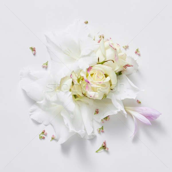 白 花 バラ ライラック 花 抽象的な ストックフォト © artjazz