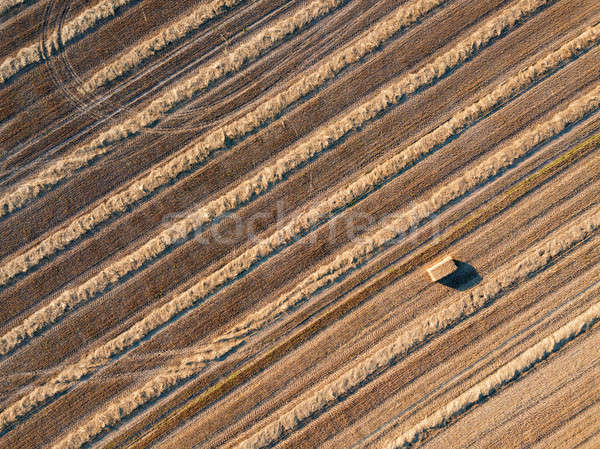 Top view from flying drones to an agricultural field after harvesting wheat with a straw stack on it Stock photo © artjazz