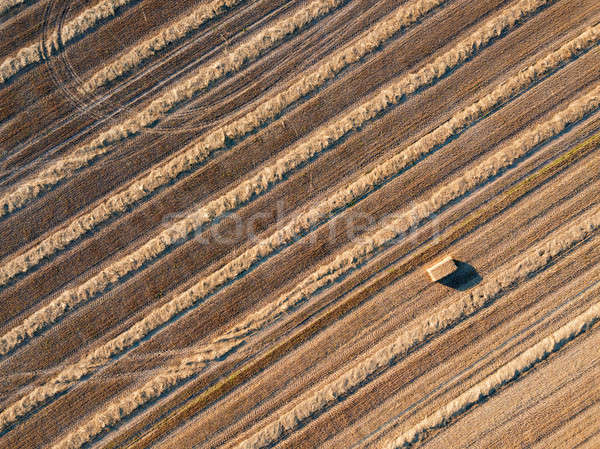 Top мнение Flying сельскохозяйственный области Сток-фото © artjazz