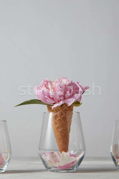 Creative card of beautiful pink flower, bud with petals in glass Stock photo © artjazz