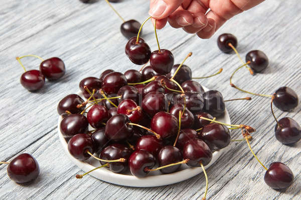 Female hands holding cherry above the plate with ripe red cherry on a gray wooden background. Stock photo © artjazz