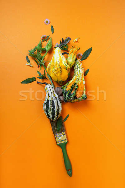 Creativo autunno zucche pennello foglie verdi fiori Foto d'archivio © artjazz