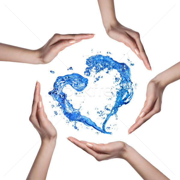 Herz menschlichen Hände isoliert weiß Stock foto © artjazz
