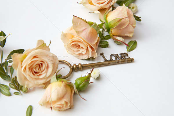 Key with rose petals Stock photo © artjazz