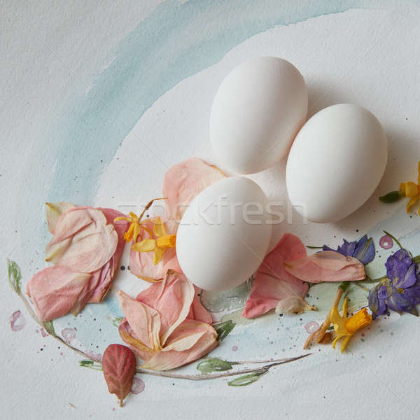 eggs on a paper Stock photo © artjazz