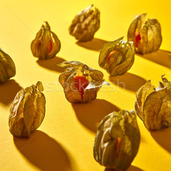 симметричный шаблон желтый фрукты Тени Сток-фото © artjazz