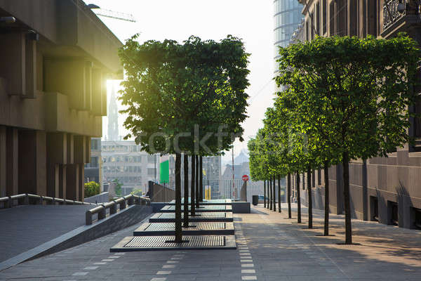 Brussels city center street on sunset Stock photo © artjazz