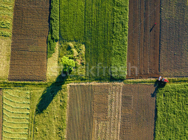 Stock photo: Aerial view from the drone, a bird's eye view of agricultural fields with a road through and a tract
