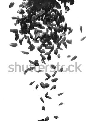 Stock photo: black sunflower seeds falling down on white background