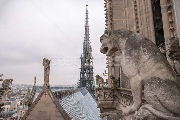 Katedral Paris Notre Dame Katedrali Fransa şehir Stok fotoğraf © artjazz