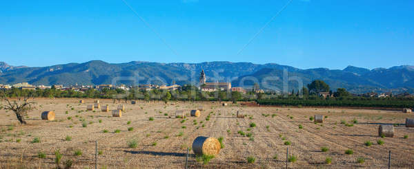 Balearic Islands in Spain Stock photo © artjazz