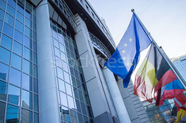 Flags with European Parliament Stock photo © artjazz