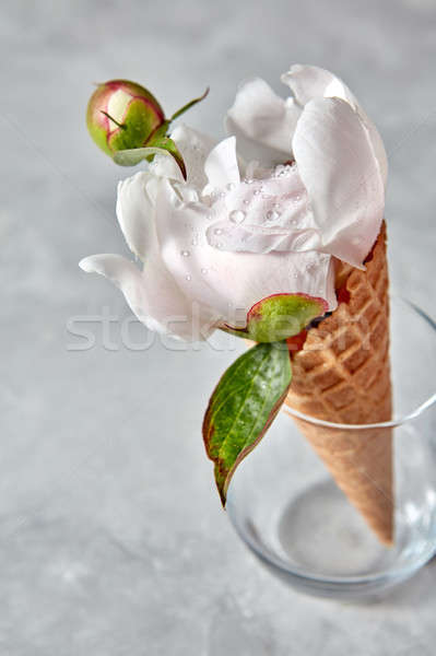 Bianco fiore bud wafer cono vetro Foto d'archivio © artjazz