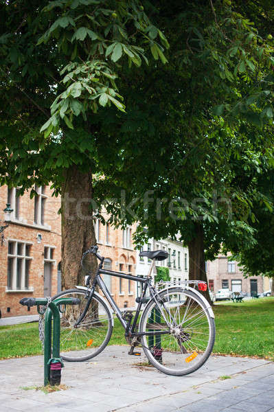 Foto d'archivio: Città · bicicletta · parco · albero · strada · casa