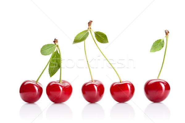Red cherry with leaves isolated on white Stock photo © artjazz