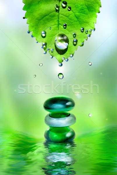 balancing spa shiny stones with leaf and water drops on light background Stock photo © artjazz