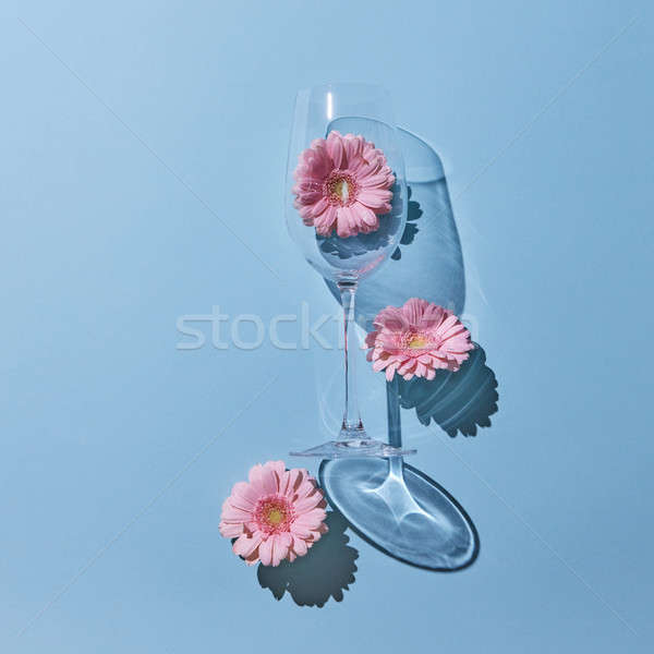 Three pink flowers gerbera and a glass on a blue background Stock photo © artjazz