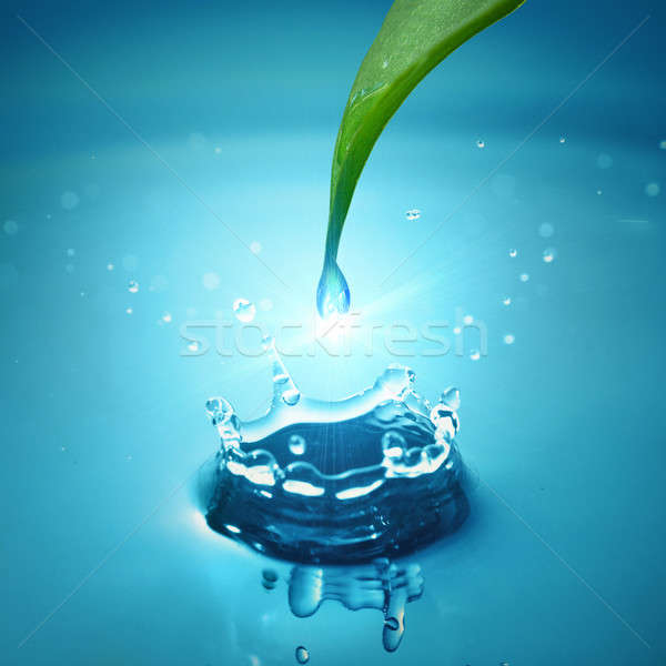 Green leaf with water drop Stock photo © artjazz
