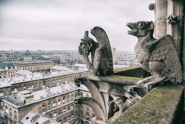 gargoyle sits on top of Notre Dame Stock photo © artjazz