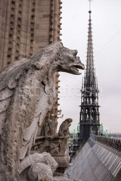 Imagine de stoc: Catedrală · doamna · Paris · Franta · oraş · vară