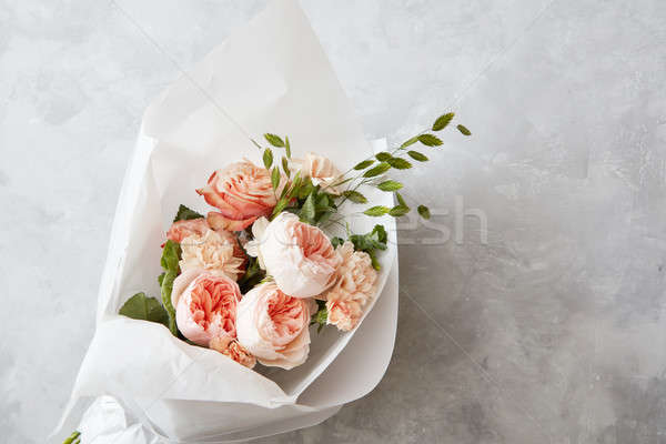 Beautiful pink roses Stock photo © artjazz