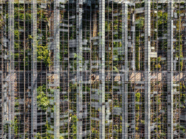 Top view of the old greenhouse. Photo from the drone Stock photo © artjazz