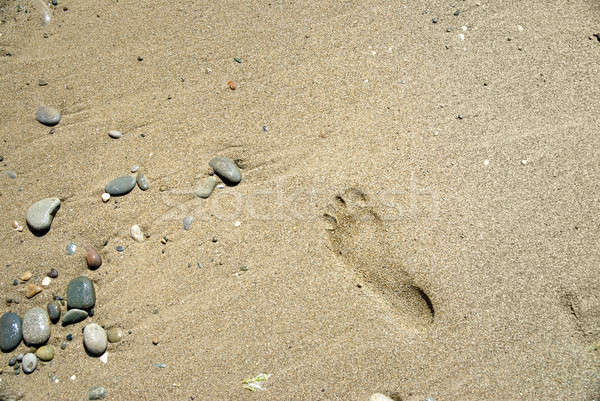 Arena piedras huella playa resumen paisaje Foto stock © artjazz