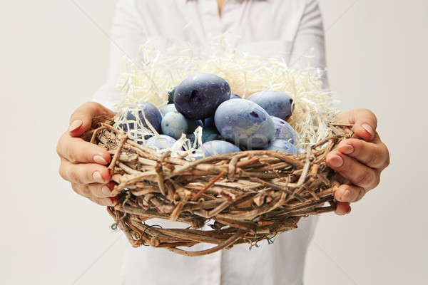 Woman holding a nest with eggs in a hand on a gray background Stock photo © artjazz