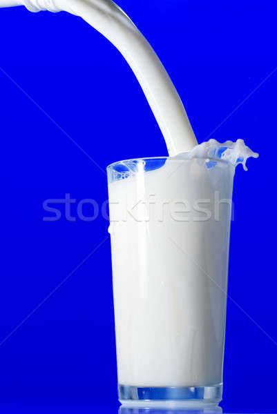 Milk splash isolated on blue Stock photo © artjazz