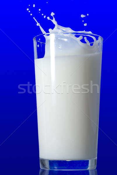 Melk splash geïsoleerd Blauw voedsel licht Stockfoto © artjazz