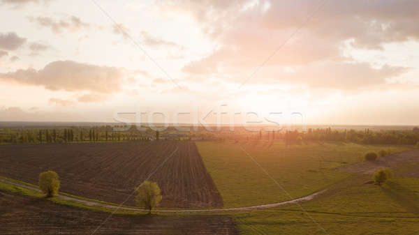 Foto stock: Aves · olho · ver · abstrato · geométrico