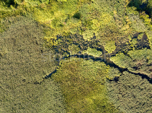 Panorámakép kilátás légi fotózás tájkép növényzet Stock fotó © artjazz