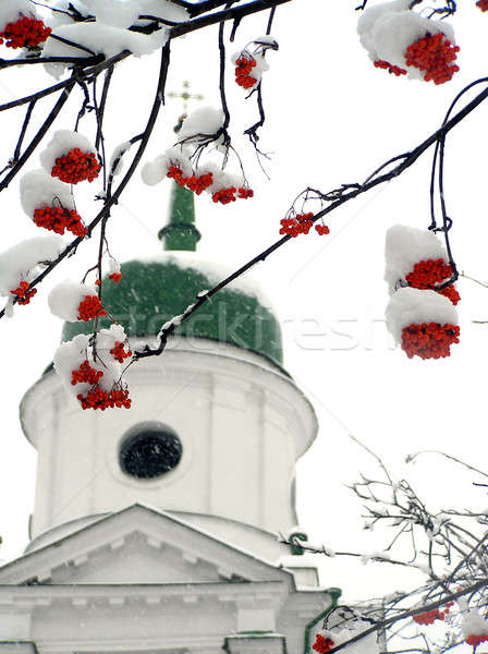 Sneeuw kerk boom zon kruis schoonheid Stockfoto © artjazz