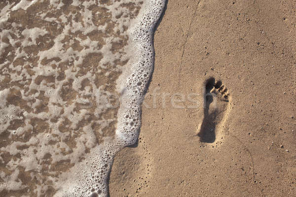 sand with footprint and water wave Stock photo © artjazz