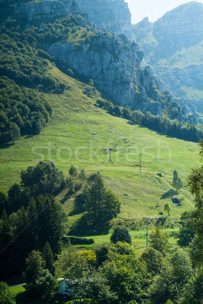 Kilátás gyönyörű Alpok tó erdő tájkép Stock fotó © Artlover
